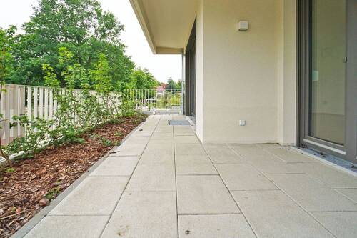 Terrasse 1 - 5 Zimmer Etagenwohnung zur Miete in Dresden