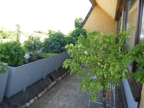 Kleine, grüne Wohlfühloase - 