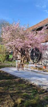 Wunderschöne Natur… - 