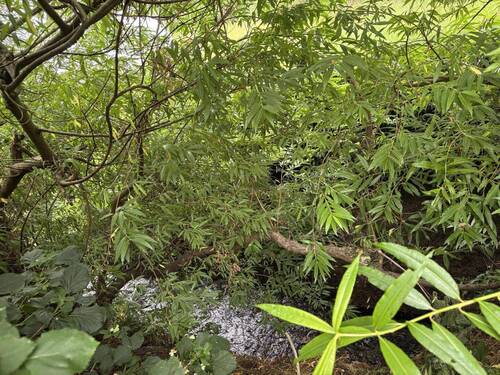 Lage am „Mühlbach“ - 