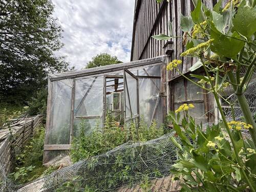 Gewächshaus - 