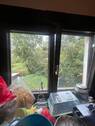 IMG_2279 - 