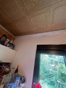 IMG_2281 - 