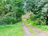 Waldweg - 