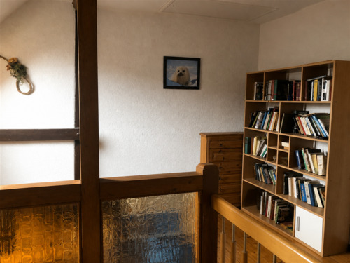 Galerie DG - 