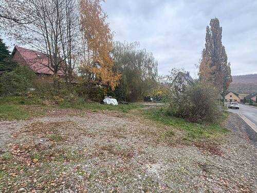 Bild 4 - Grundstück in Auetal / Rolfshagen zum Kaufen