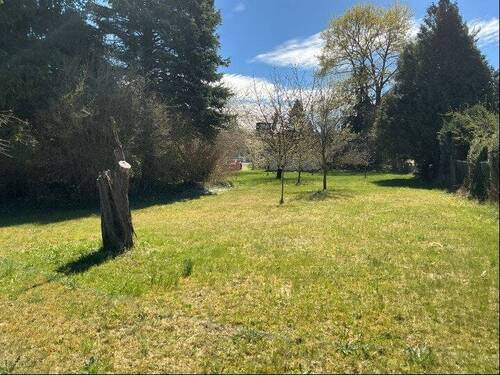 Garten - Grundstück zum Kaufen in Rodewisch