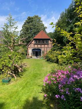 Rückansicht im Sommer - 