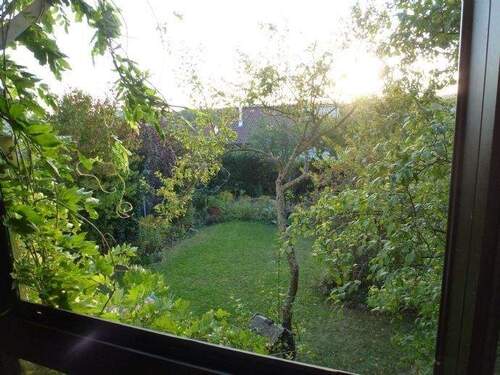 Unser Hausgarten - Blick aus dem Wintergarten - 