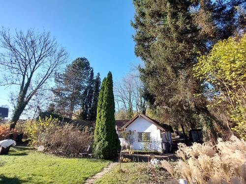 Bild (12) - Sonniges Grundstück mit Bungalow Altbestand * Neubau 2Vollgeschosse EFH freistehend