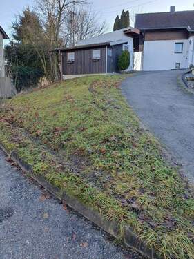 Wiese mit Gartenhaus - 