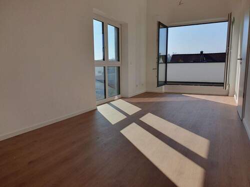 Dachstudio - 