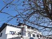 Ansicht Süd - * ERSTBEZUG * - Gemütliches REIHEN-END-HAUS mit DACHTERRASSE
