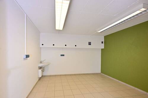 Hobby/Arbeiten - 