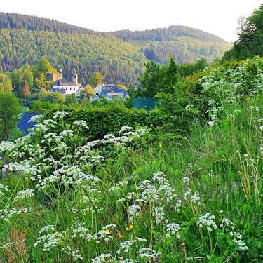 Nordenau im Frühling - 