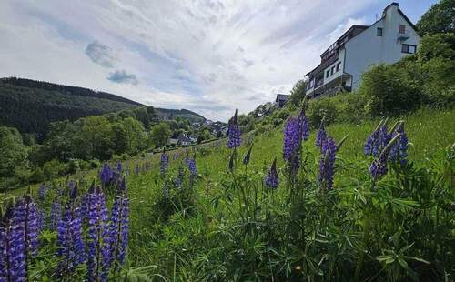 Die Wiese hinter dem Komplex. - 3 Zimmer Etagenwohnung in Schmallenberg