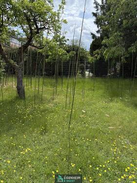 Garten - Grundstück in Berlin zum Kaufen