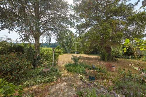 Blick in den Garten - 