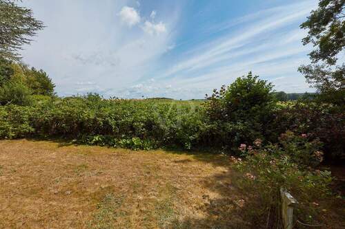 Feldblick - 