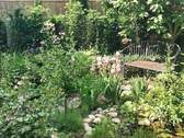 Bild 15 - 