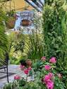 Bild 16 - 