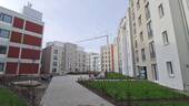 Ruhiger Innenhof - 