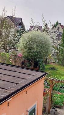 Garten 1.jfif - Einfamilienhaus zum Kaufen in Hohenstein-Ernstthal