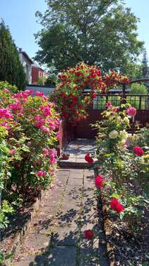 Garten 2.jfif - Einfamilienhaus in Hohenstein-Ernstthal