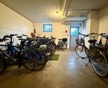 Fahrradkeller - 