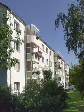 Bild 2 - 2 Zimmer Etagenwohnung zur Miete in Riesa