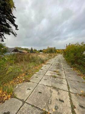 IMG 5034 - Grundstück zum Kaufen in Zehdenick