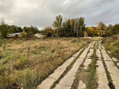 IMG 5036 - Grundstück in Zehdenick