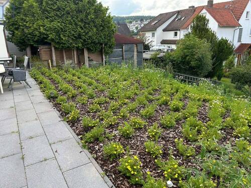 Garten - 
