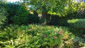 Garten links - 