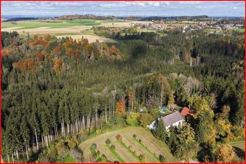 Wald und Wiesen - soweit das Auge reicht - 