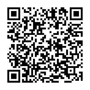 QR-Code - 
