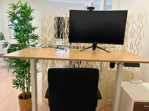 Schreibtischplätze 1 - Möbliertes Büro, Co-Working Space, Shared Office - All-in-Miete