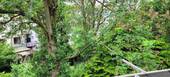 Blick vom Balkon - 