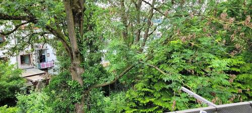 Blick vom Balkon - 