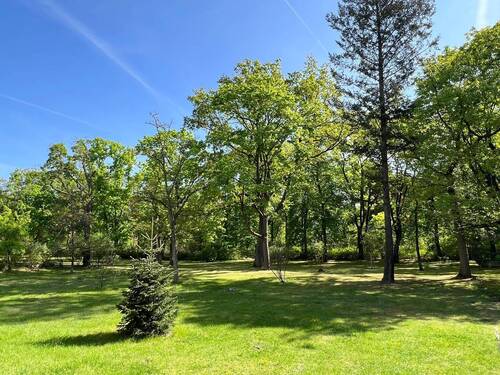 Gemeinschaftsgarten mit Blick in den Park - 