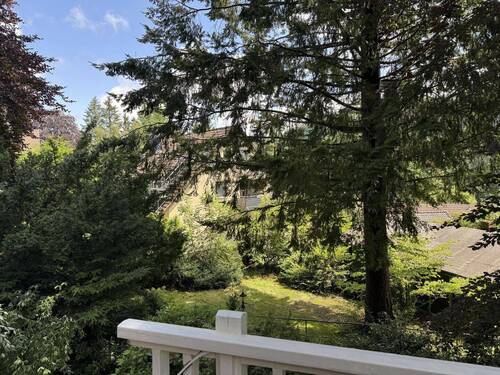 Blick in den Garten - 
