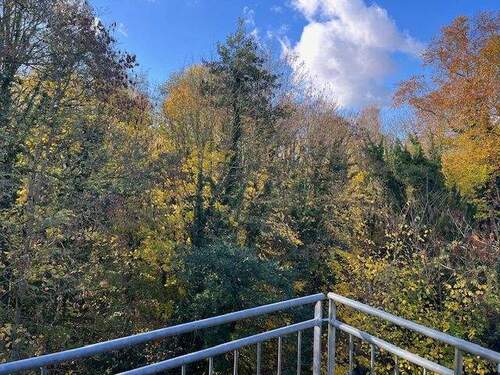 Blick vom Balkon - 