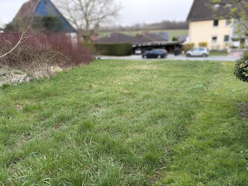 Ansicht - Grundstück zum Kaufen in Horn-Bad Meinberg