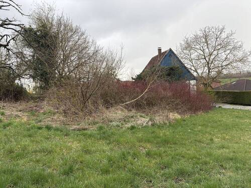 Ansicht - Grundstück in Horn-Bad Meinberg