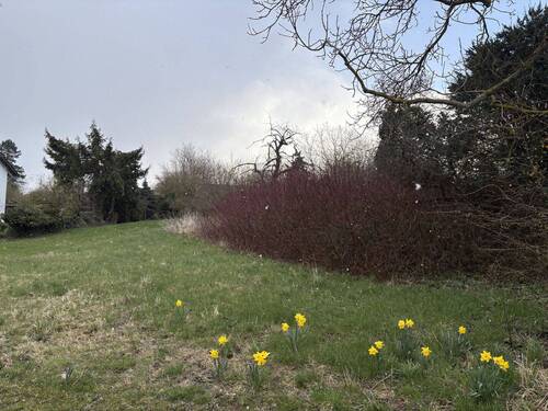 Ansicht - Grundstück in Horn-Bad Meinberg zum Kaufen