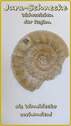 Bild 18 - 