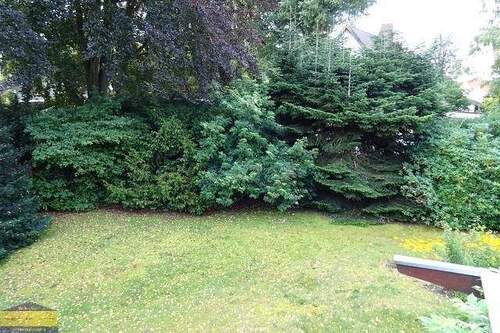 Sichtgeschützter Garten - 