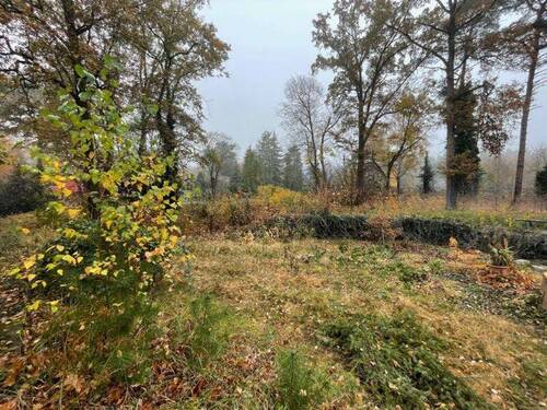 Grundstück 2 - Grundstück zum Kaufen in Schildow