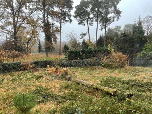 Grundstück 3 - Grundstück in Schildow