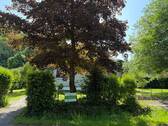 Straßenansicht - 3 Zimmer Bungalow zum Kaufen in Roetgen